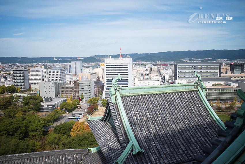 日本100名城之一和歌山城，歷史與景觀結合為一的優雅之城，攀上天守閣一覽和歌山市的美景