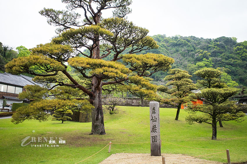 鹿兒島著名景點之一，日劇篤姬拍攝地，代表性日本借景庭園，眺望櫻島火山