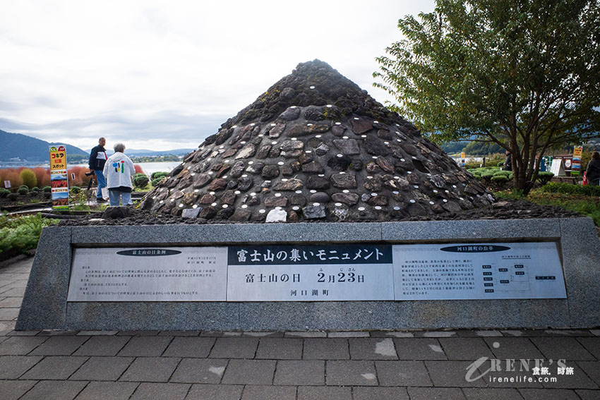 從東京出發！河口湖富士山包車一日遊，還加碼帶我們去私房景點餵天鵝