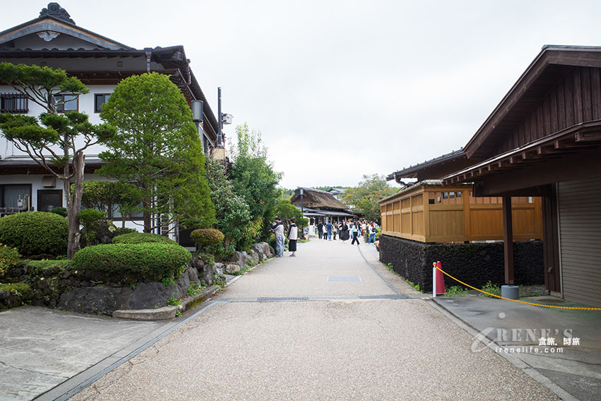 從東京出發！河口湖富士山包車一日遊，還加碼帶我們去私房景點餵天鵝
