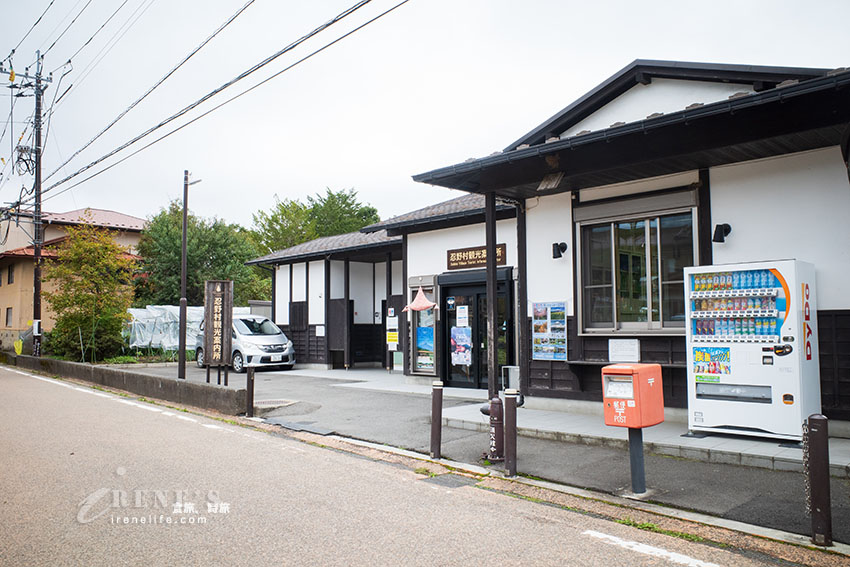 從東京出發！河口湖富士山包車一日遊，還加碼帶我們去私房景點餵天鵝