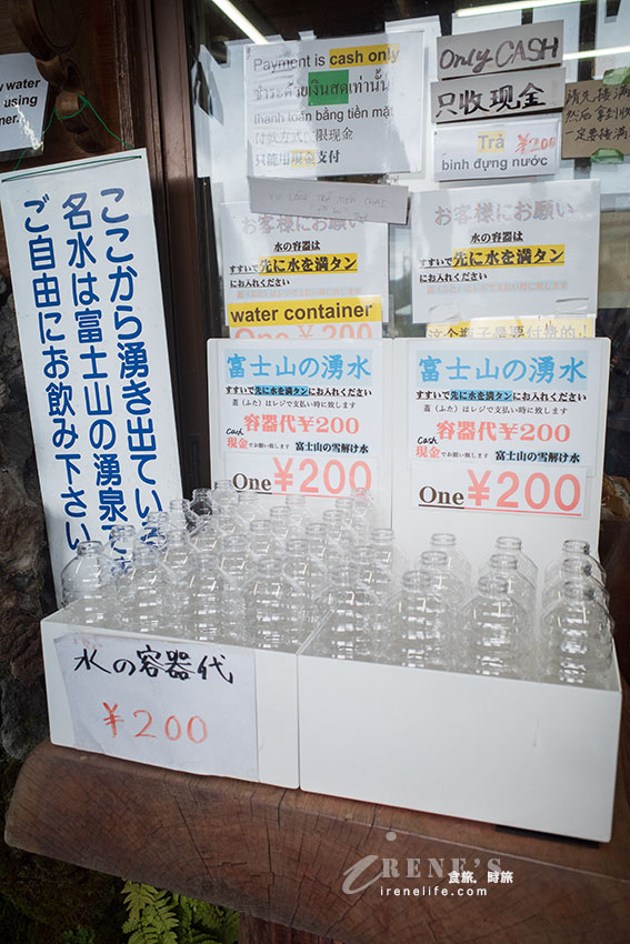 從東京出發！河口湖富士山包車一日遊，還加碼帶我們去私房景點餵天鵝