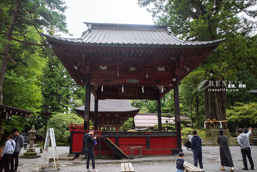 從東京出發！河口湖富士山包車一日遊，還加碼帶我們去私房景點餵天鵝