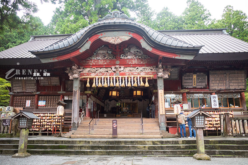 從東京出發！河口湖富士山包車一日遊，還加碼帶我們去私房景點餵天鵝