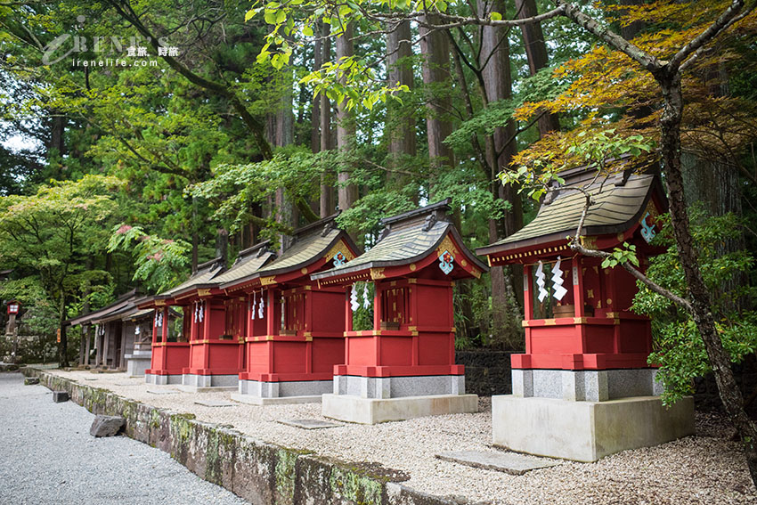 從東京出發！河口湖富士山包車一日遊，還加碼帶我們去私房景點餵天鵝