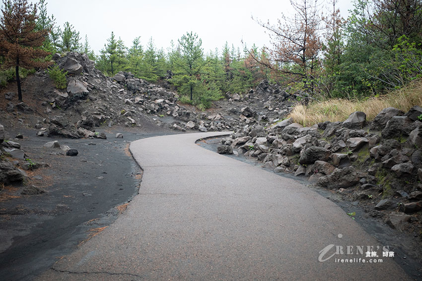 深入鹿兒島活火山探險！近距離感受櫻島的壯觀，居高臨下的展望所、被埋没的鳥居