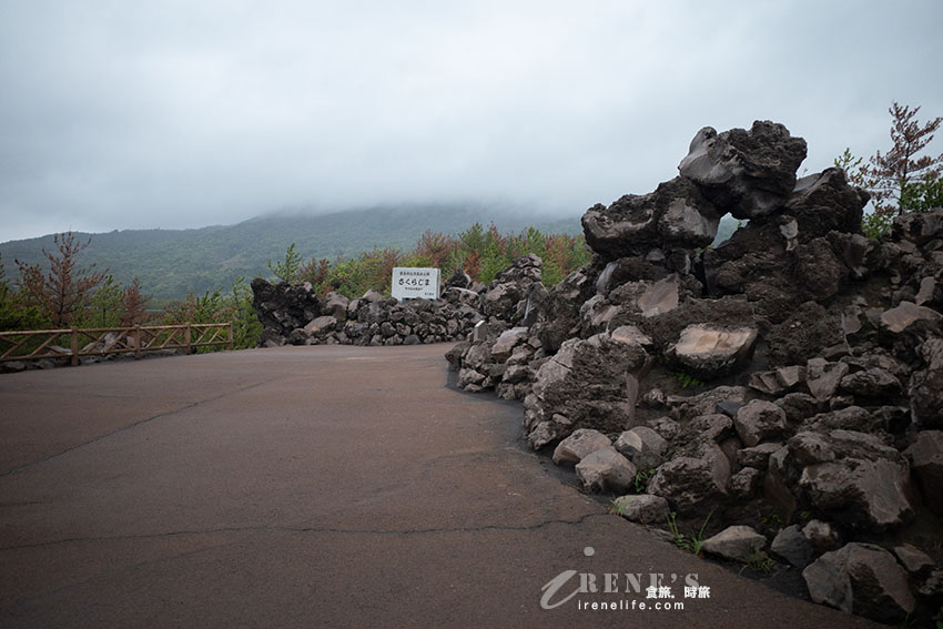 深入鹿兒島活火山探險！近距離感受櫻島的壯觀，居高臨下的展望所、被埋没的鳥居