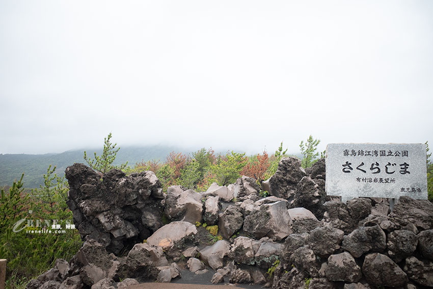 深入鹿兒島活火山探險！近距離感受櫻島的壯觀，居高臨下的展望所、被埋没的鳥居