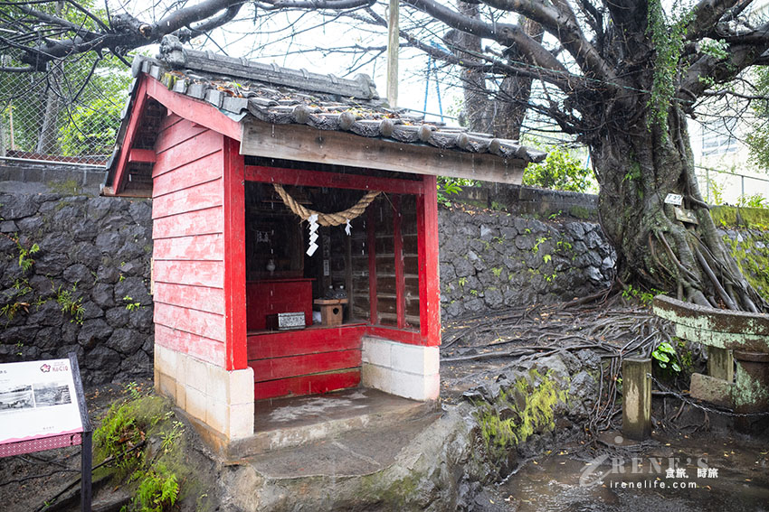 深入鹿兒島活火山探險！近距離感受櫻島的壯觀，居高臨下的展望所、被埋没的鳥居