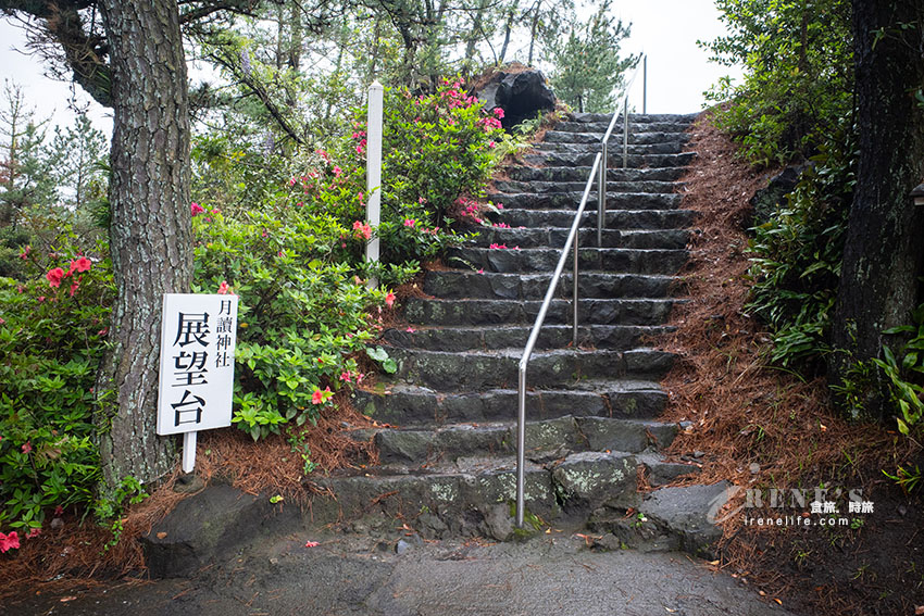 深入鹿兒島活火山探險！近距離感受櫻島的壯觀，居高臨下的展望所、被埋没的鳥居