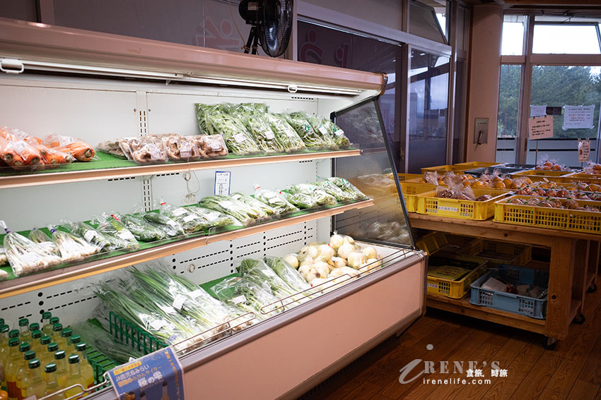 深入鹿兒島活火山探險！近距離感受櫻島的壯觀，居高臨下的展望所、被埋没的鳥居