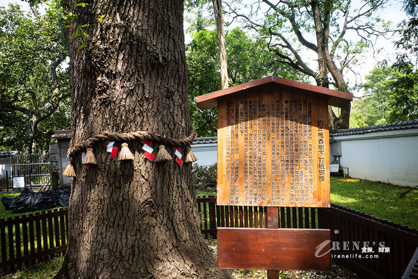 嘉義百年公園內最美的神社，日式氛圍滿滿的景點，有浴衣體驗秒到日本的錯覺