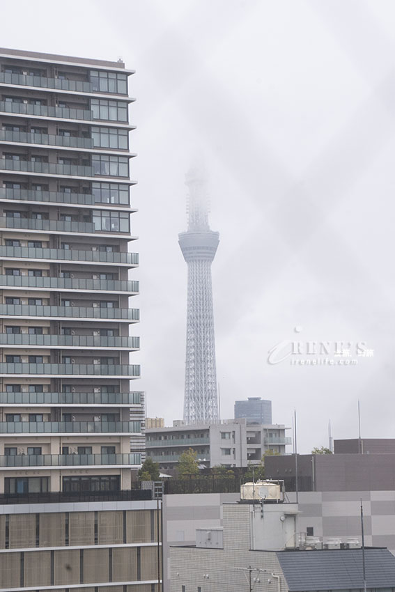 日本連鎖平價商務飯店,兒童同床不另收費,一晚2千多的雙人房還有免費早餐可享用 日本連鎖平價商務飯店,兒童同床不另收費,一晚2千多的雙人房還有免費早餐可享用