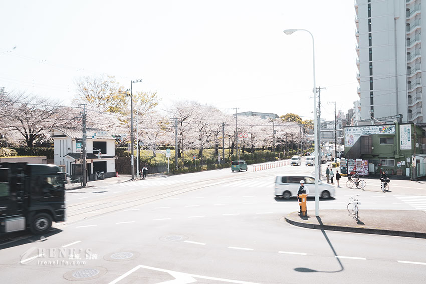 東京唯二僅存的路面電車!搭乘東京櫻電走訪荒川線一日遊,春季像駛入櫻花世界 東京唯二僅存的路面電車!搭乘東京櫻電走訪荒川線一日遊,春季像駛入櫻花世界