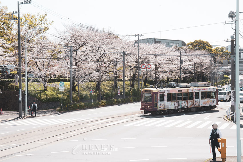 東京唯二僅存的路面電車!搭乘東京櫻電走訪荒川線一日遊,春季像駛入櫻花世界 東京唯二僅存的路面電車!搭乘東京櫻電走訪荒川線一日遊,春季像駛入櫻花世界