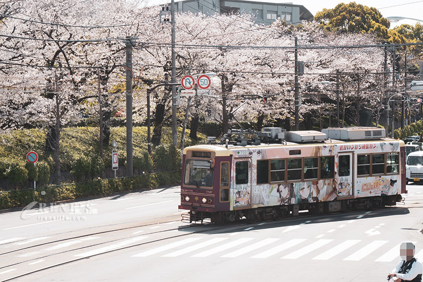 東京唯二僅存的路面電車!搭乘東京櫻電走訪荒川線一日遊,春季像駛入櫻花世界 東京唯二僅存的路面電車!搭乘東京櫻電走訪荒川線一日遊,春季像駛入櫻花世界
