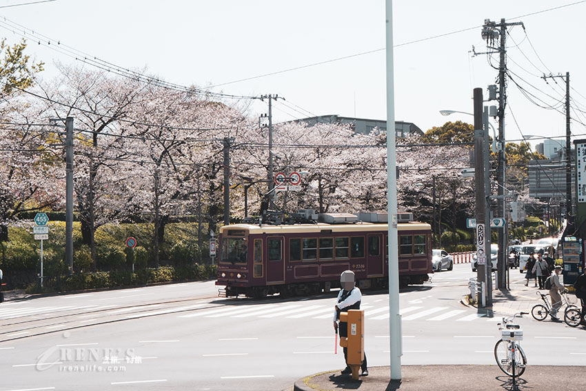 東京唯二僅存的路面電車!搭乘東京櫻電走訪荒川線一日遊,春季像駛入櫻花世界 東京唯二僅存的路面電車!搭乘東京櫻電走訪荒川線一日遊,春季像駛入櫻花世界