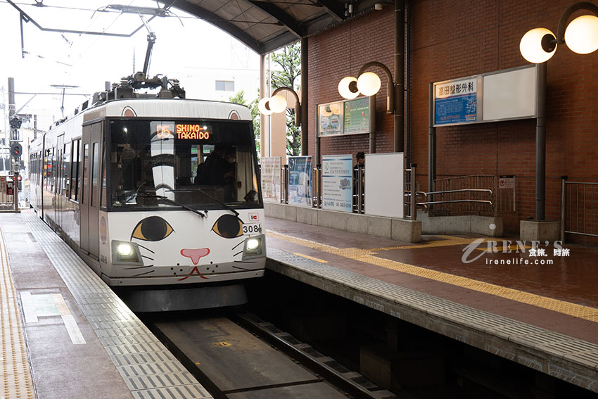 搭乘招福貓列車前往招財貓發源地，被滿滿的招財貓給包圍，別忘了帶幾隻回家