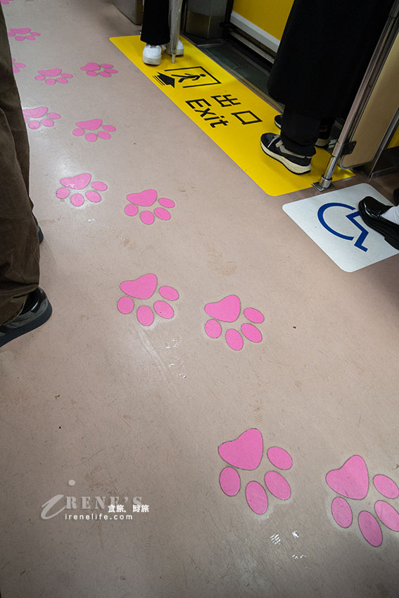 搭乘招福貓列車前往招財貓發源地,被滿滿的招財貓給包圍,別忘了帶幾隻回家 搭乘招福貓列車前往招財貓發源地,被滿滿的招財貓給包圍,別忘了帶幾隻回家