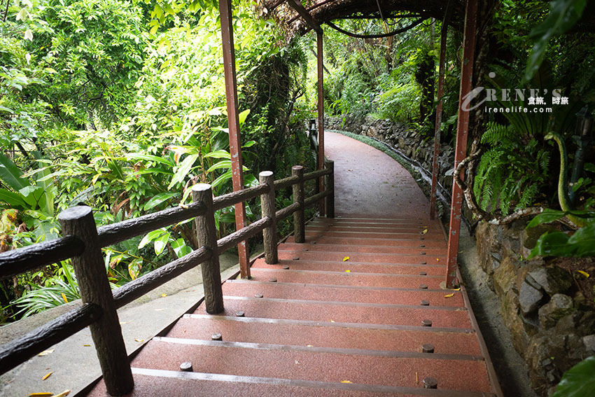 小心恐龍就在你身邊!讓小孩超興奮的恐龍公園,走進森林一起找尋躲在裡面的恐龍吧 小心恐龍就在你身邊!讓小孩超興奮的恐龍公園,走進森林一起找尋躲在裡面的恐龍吧