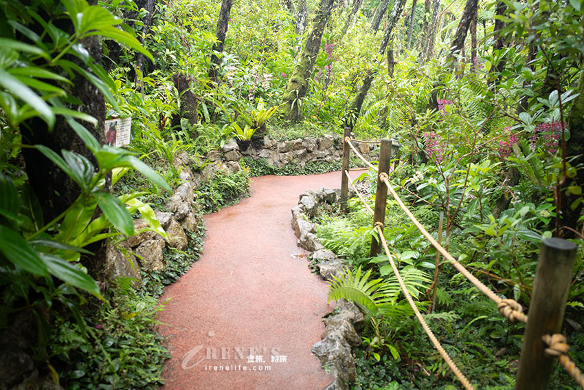 小心恐龍就在你身邊!讓小孩超興奮的恐龍公園,走進森林一起找尋躲在裡面的恐龍吧 小心恐龍就在你身邊!讓小孩超興奮的恐龍公園,走進森林一起找尋躲在裡面的恐龍吧