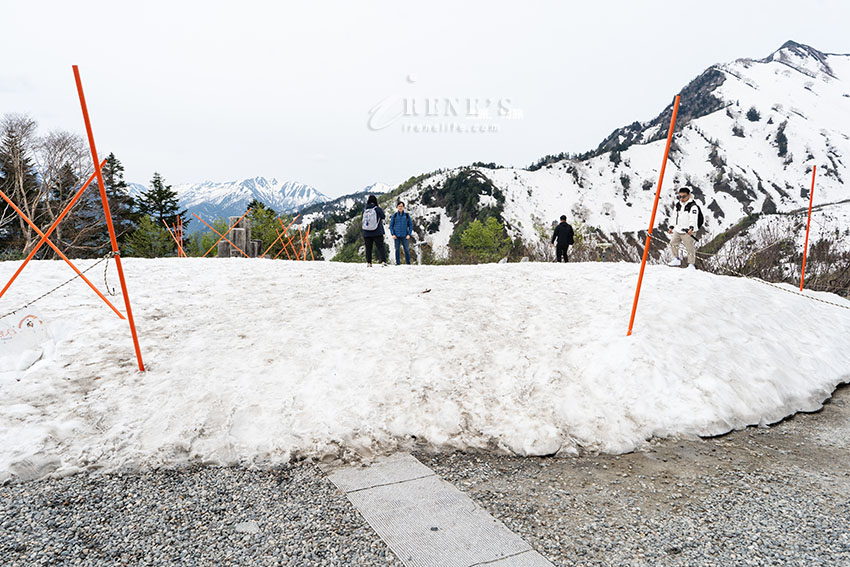 黑部立山雪牆一日遊，一輩子一定要看一次，自助交通、購票方式、餐廳介紹