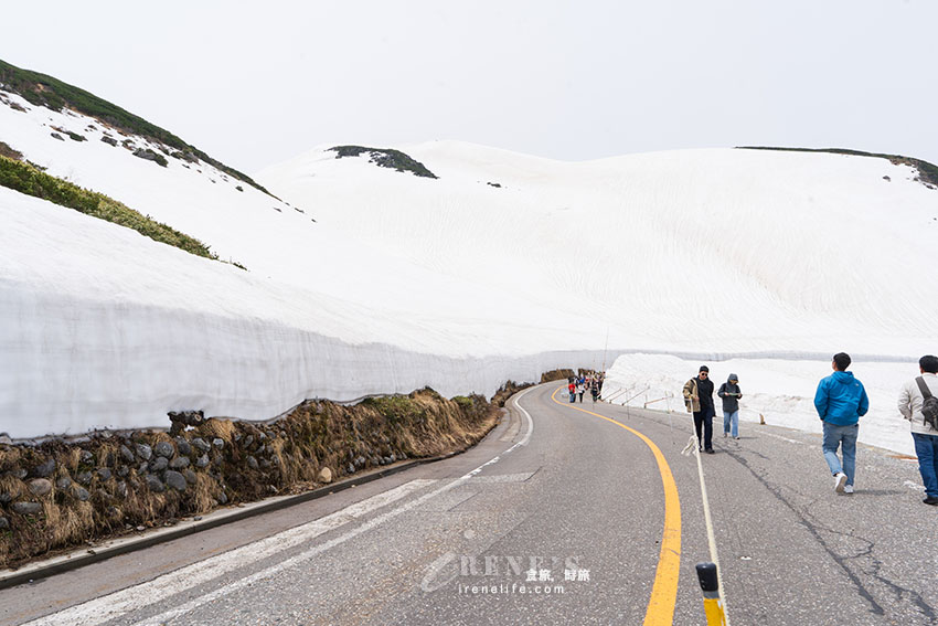 黑部立山雪牆一日遊，一輩子一定要看一次，自助交通、購票方式、餐廳介紹