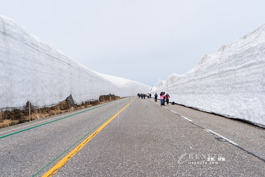 黑部立山雪牆一日遊，一輩子一定要看一次，自助交通、購票方式、餐廳介紹 @Irene's 食旅．時旅