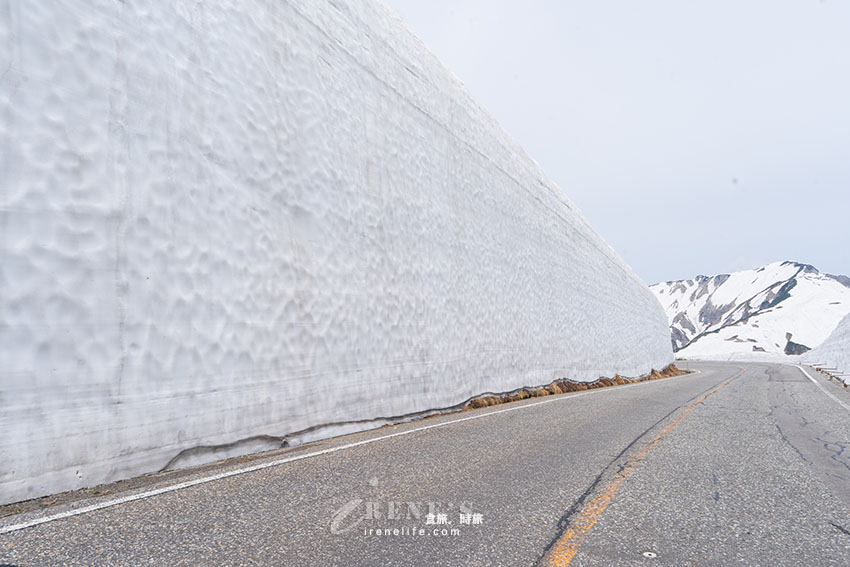 黑部立山雪牆一日遊，一輩子一定要看一次，自助交通、購票方式、餐廳介紹