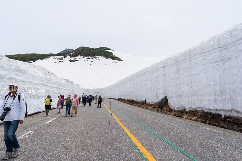 黑部立山雪牆一日遊，一輩子一定要看一次，自助交通、購票方式、餐廳介紹