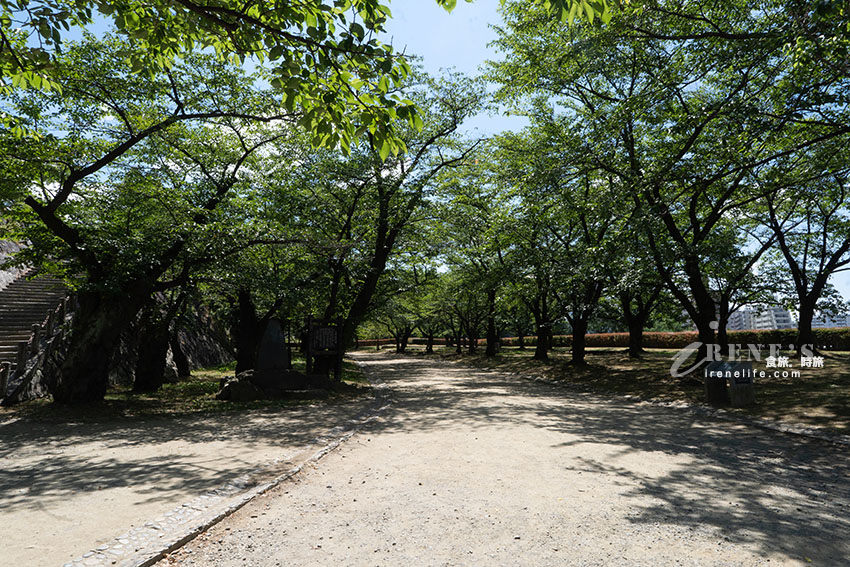 盛岡城跡公園|擁有國家指定史跡、日本百名城、日本歷史公園百選等殊榮 盛岡城跡公園|擁有國家指定史跡、日本百名城、日本歷史公園百選等殊榮