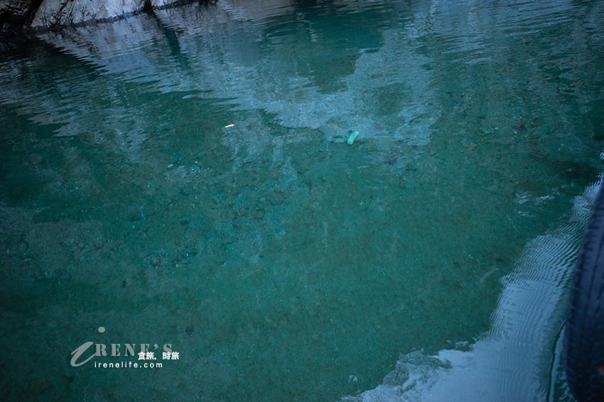 徳島景點｜清幽唯美的大步危峽谷，遊遊覽船遊峽谷，近距離欣賞大步危峽之美