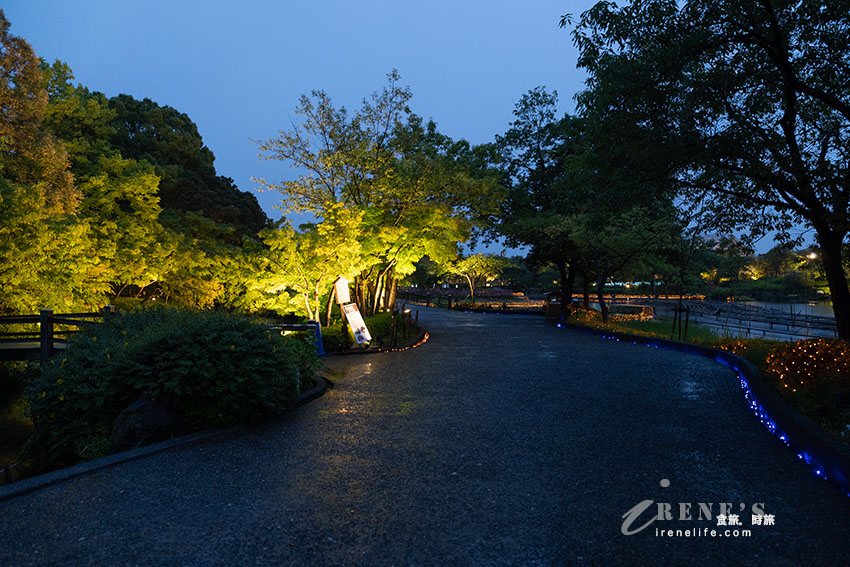 名古屋景點|日本必看超大型燈海,還有一年四季不同的花海.名花之里 名古屋景點|日本必看超大型燈海,還有一年四季不同的花海.名花之里
