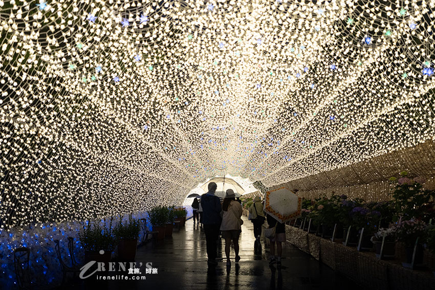 名古屋景點｜日本必看超大型燈海，還有一年四季不同的花海．名花之里
