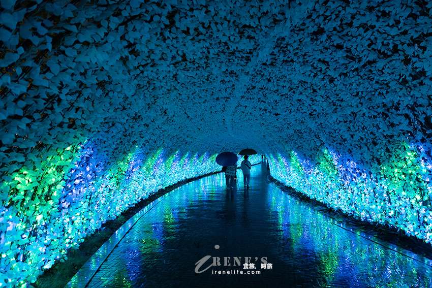 名古屋景點|日本必看超大型燈海,還有一年四季不同的花海.名花之里 名古屋景點|日本必看超大型燈海,還有一年四季不同的花海.名花之里