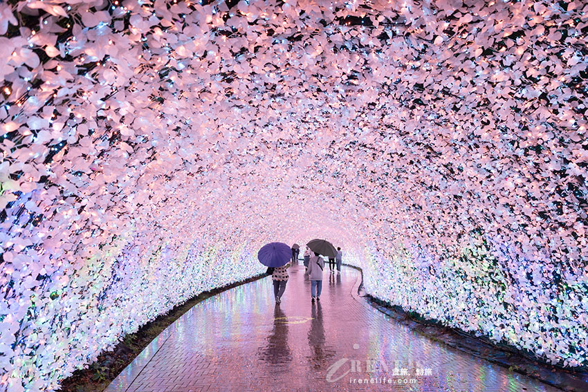 名古屋景點|日本必看超大型燈海,還有一年四季不同的花海.名花之里 名古屋景點|日本必看超大型燈海,還有一年四季不同的花海.名花之里
