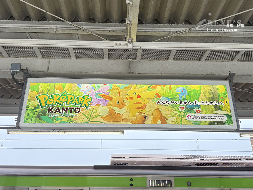 全球首座寶可夢樂園PokéPark KANTO開幕啦！超過600隻寶可夢棲息地寶可夢森林，秒被收服