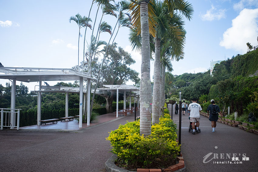 沖繩親子必訪景點|集結動物園和遊樂園的好玩景點,15歲以下孩童免費入園 沖繩親子必訪景點|集結動物園和遊樂園的好玩景點,15歲以下孩童免費入園