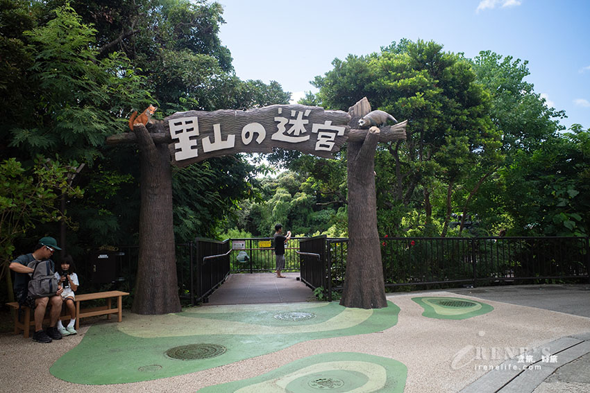 沖繩親子必訪景點|集結動物園和遊樂園的好玩景點,15歲以下孩童免費入園 沖繩親子必訪景點|集結動物園和遊樂園的好玩景點,15歲以下孩童免費入園