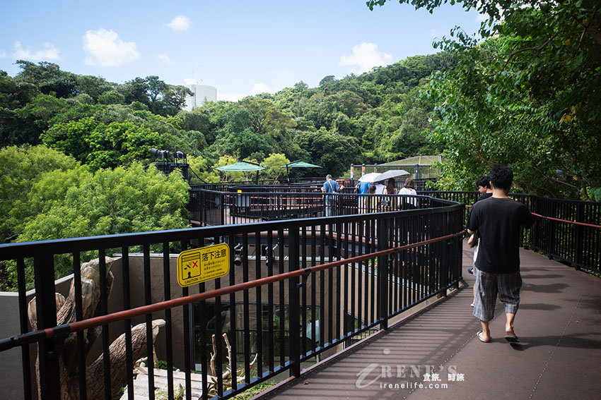 沖繩親子必訪景點|集結動物園和遊樂園的好玩景點,15歲以下孩童免費入園 沖繩親子必訪景點|集結動物園和遊樂園的好玩景點,15歲以下孩童免費入園