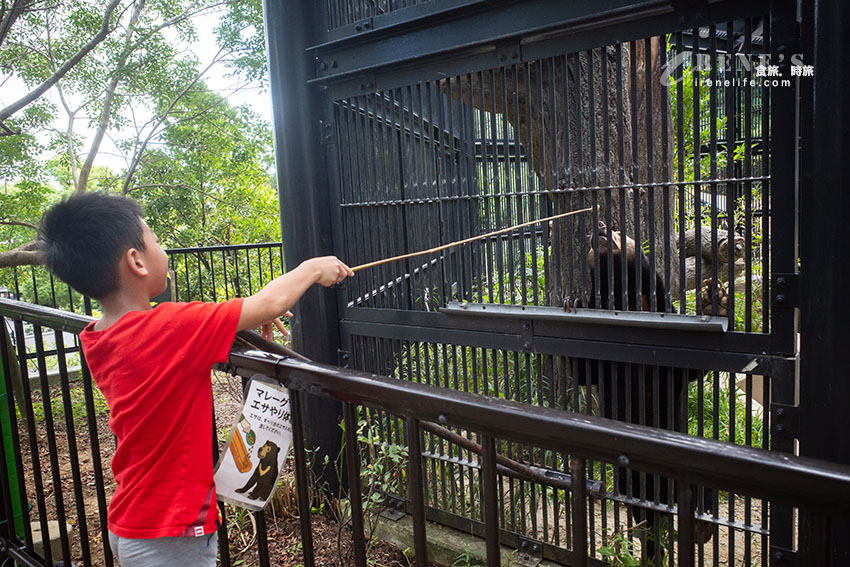 沖繩親子必訪景點｜集結動物園和遊樂園的好玩景點，15歲以下孩童免費入園