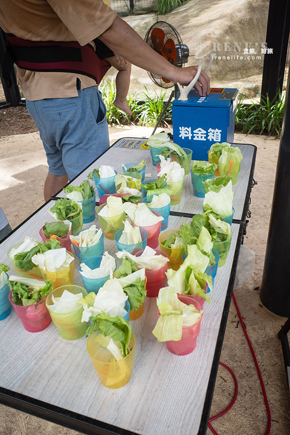 沖繩親子必訪景點|集結動物園和遊樂園的好玩景點,15歲以下孩童免費入園 沖繩親子必訪景點|集結動物園和遊樂園的好玩景點,15歲以下孩童免費入園