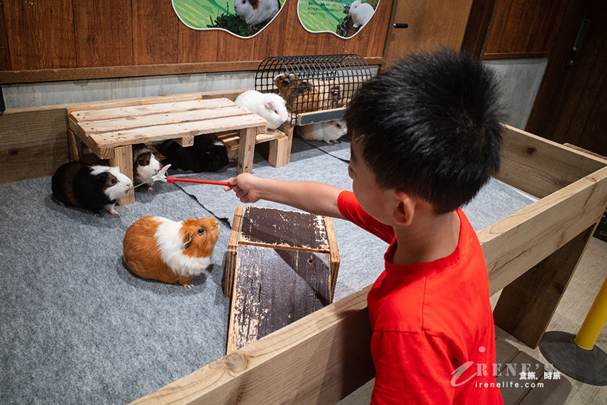 沖繩親子必訪景點|集結動物園和遊樂園的好玩景點,15歲以下孩童免費入園 沖繩親子必訪景點|集結動物園和遊樂園的好玩景點,15歲以下孩童免費入園