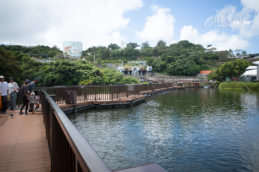 沖繩親子必訪景點|集結動物園和遊樂園的好玩景點,15歲以下孩童免費入園 沖繩親子必訪景點|集結動物園和遊樂園的好玩景點,15歲以下孩童免費入園