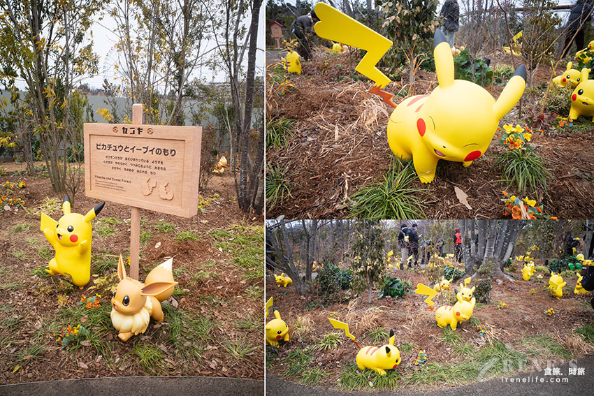 全球首座寶可夢樂園PokéPark KANTO開幕啦！超過600隻寶可夢棲息地寶可夢森林，秒被收服