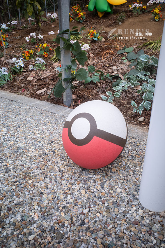 全球首座寶可夢樂園PokéPark KANTO開幕啦！超過600隻寶可夢棲息地寶可夢森林，秒被收服