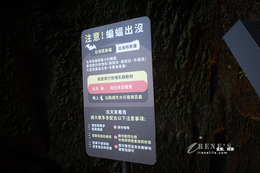 台灣第一座鐵路隧道也是唯一僅存的清代鐵路隧道開放啦!串聯獅球嶺砲台步道親子友善好走 台灣第一座鐵路隧道也是唯一僅存的清代鐵路隧道開放啦!串聯獅球嶺砲台步道親子友善好走