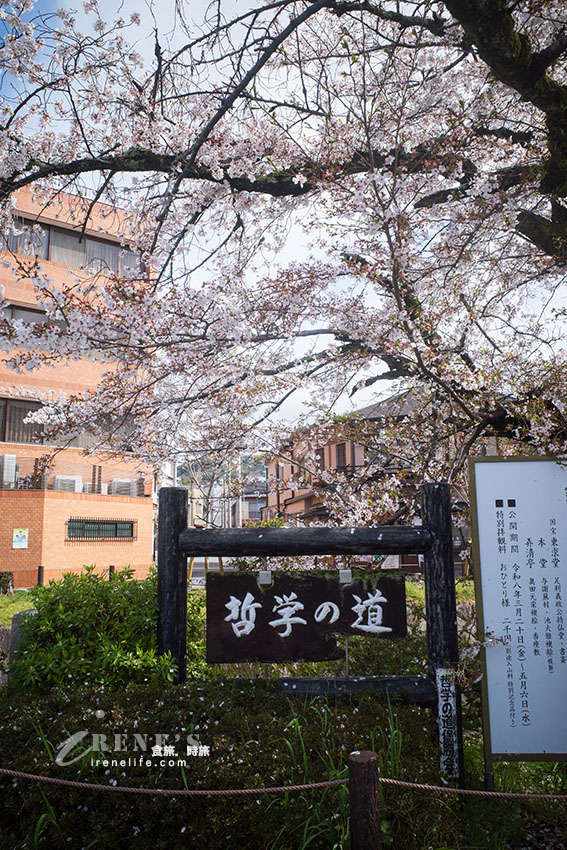 「日本道路百選」之一,櫻花季節的賞櫻勝地,櫻花、溪水唯美至極 「日本道路百選」之一,櫻花季節的賞櫻勝地,櫻花、溪水唯美至極