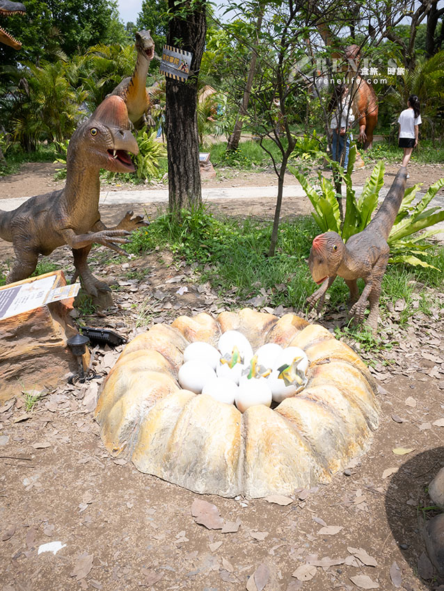 台北戶外大型恐龍樂園！ 會動會叫超擬真恐龍宛如置身侏儸紀公園