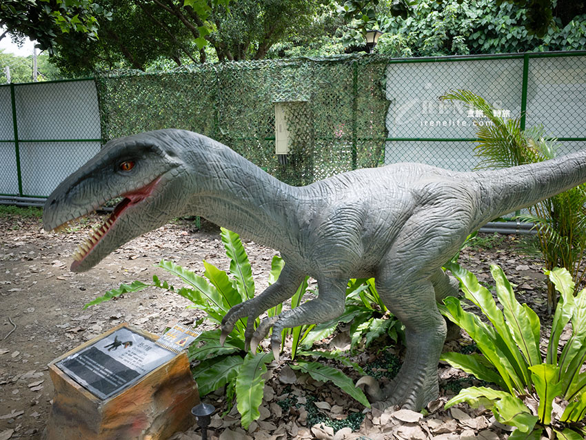 台北戶外大型恐龍樂園！ 會動會叫超擬真恐龍宛如置身侏儸紀公園